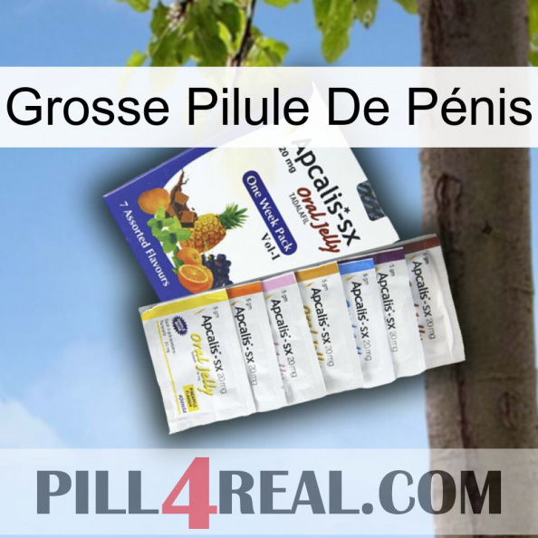 Grosse Pilule De Pénis 11